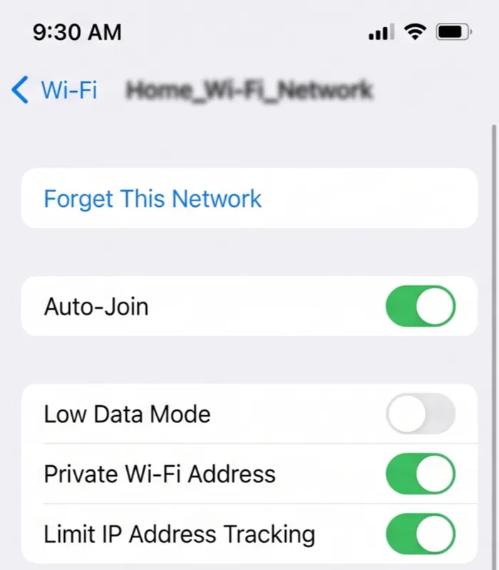 iPhone Wi-Fi network details screen with the Forget This Network option at the top